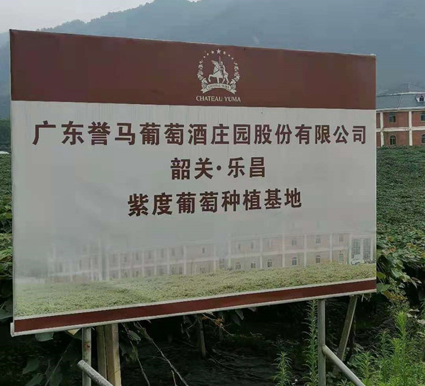 1625302863173194.jpg 01.jpg